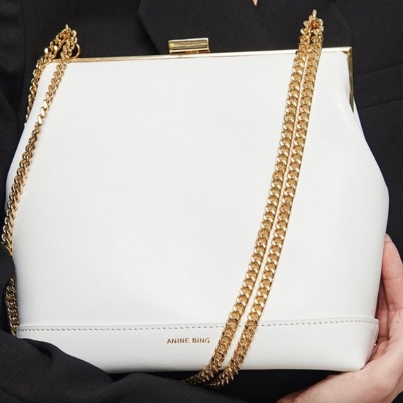 BRAND NEW Anine Bing “Noah” bag. Still in original packaging. - Picture 2 of 15